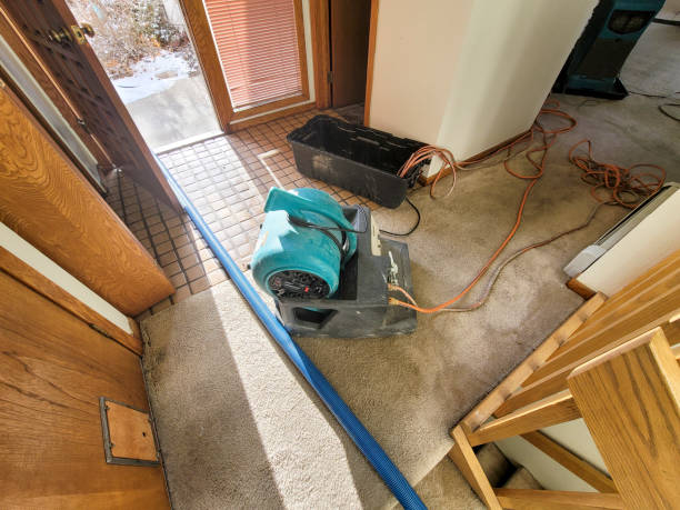  Granger, TX Water damage restoration Pros