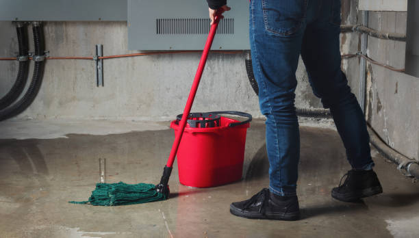 Best 24/7 water damage repair  in Granger, TX