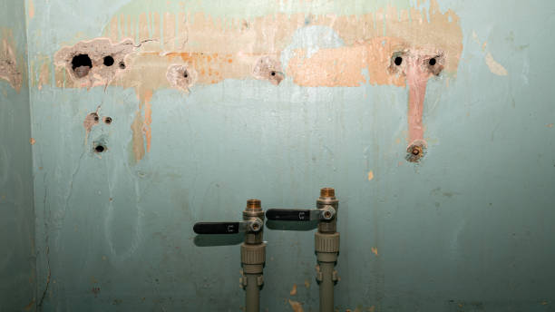Best Flood damage cleanup  in Granger, TX