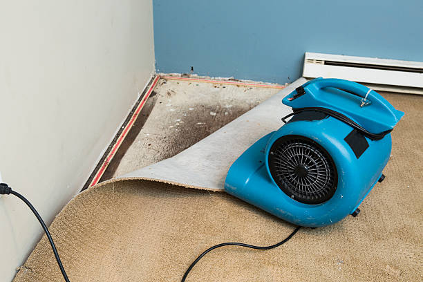 Best Ceiling water damage repair  in Granger, TX